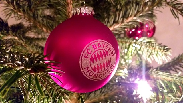 但面对明星 但面对明星