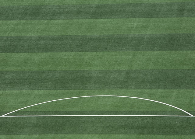 越来越多的 越来越多的