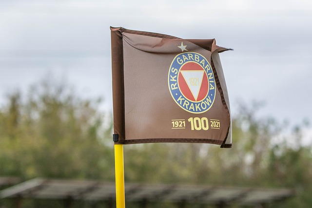 闻的身影 闻的身影