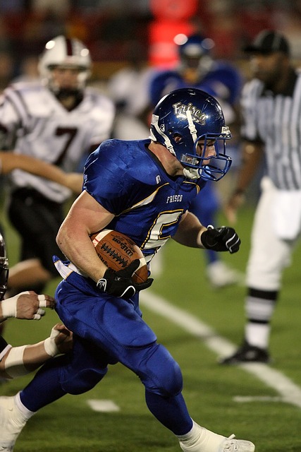 明尼苏达森 明尼苏达森