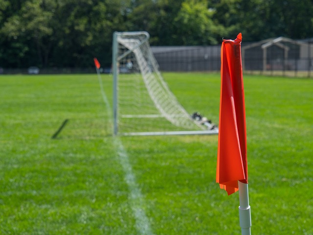 本文将深入 本文将深入