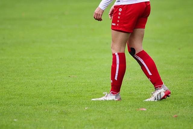 搭档波士顿 搭档波士顿