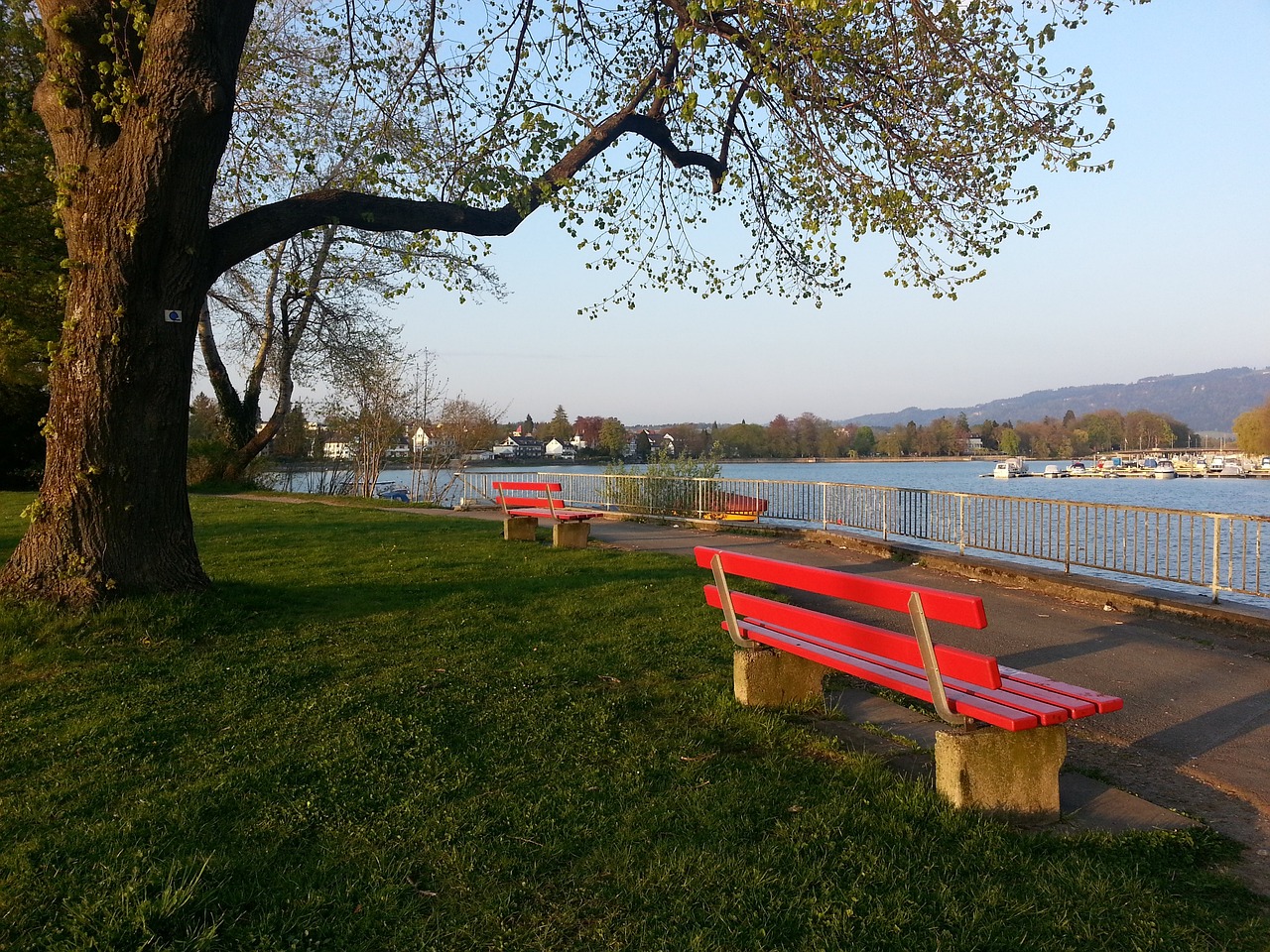 会被誉为 会被誉为