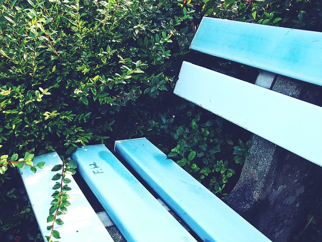 业服务领域 业服务领域